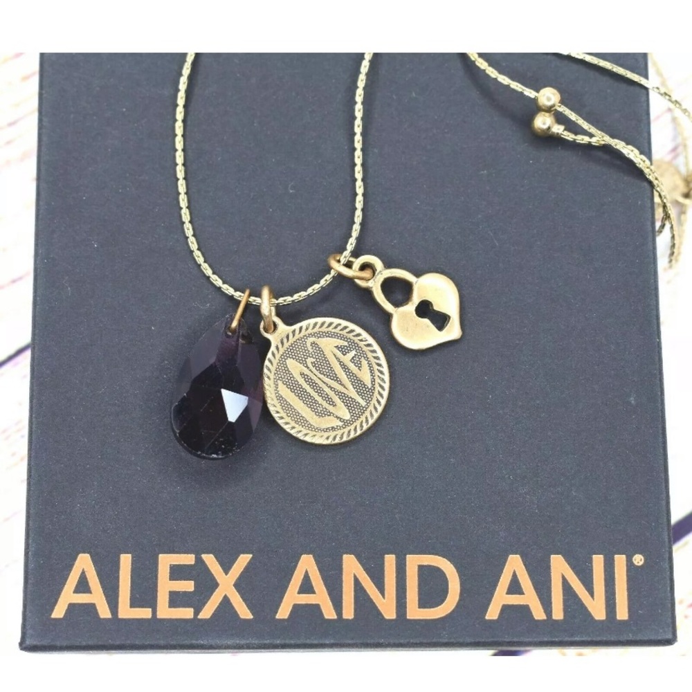 Alex and Ani Love Necklace